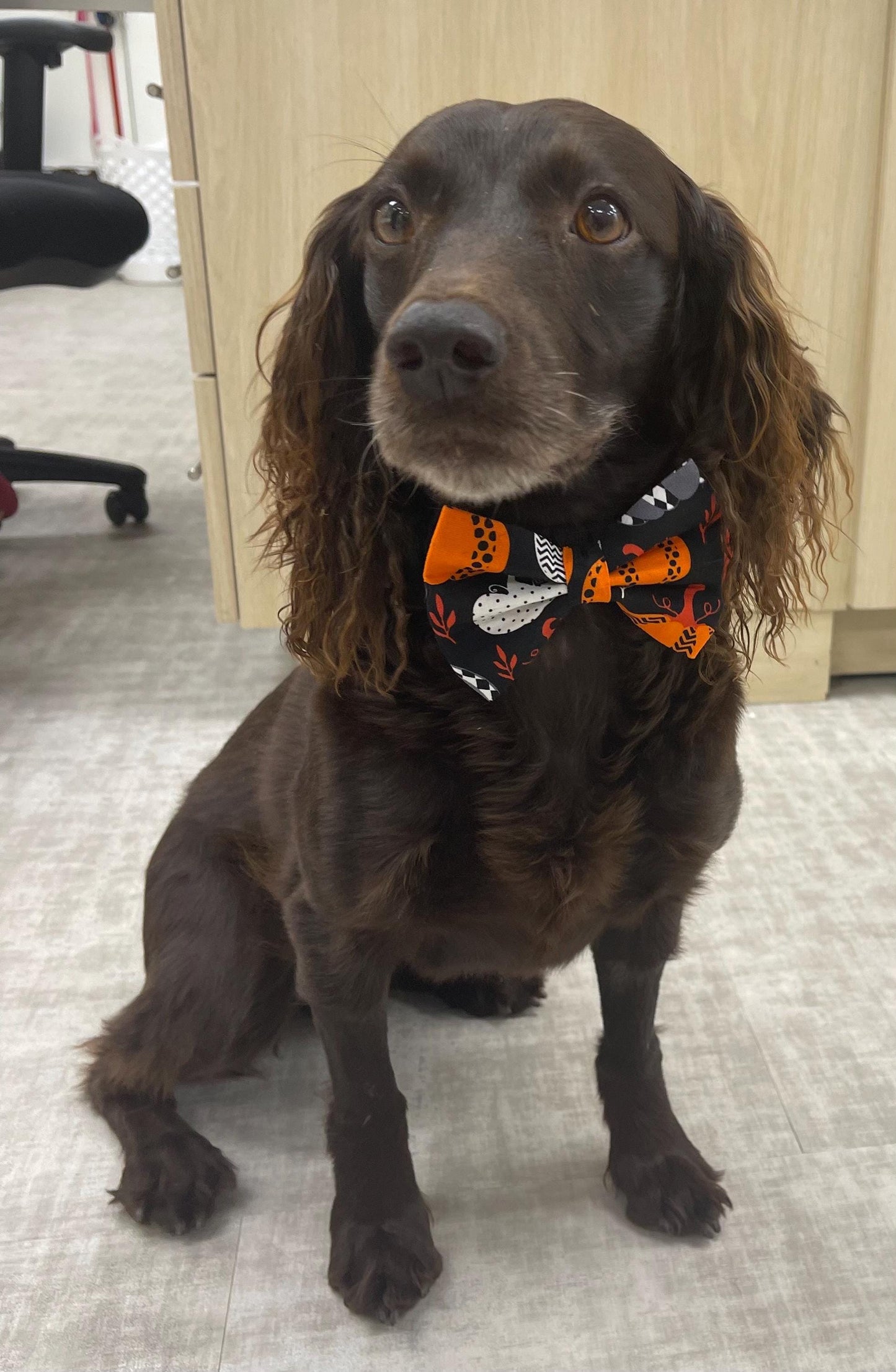 Spooky Wear