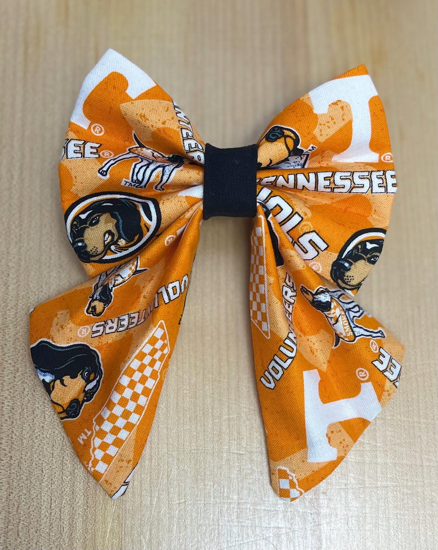 Sports Fan