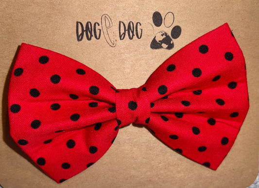 Red with black polka dots