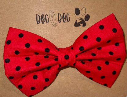 Red with black polka dots
