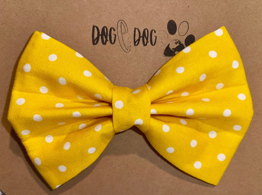 Yellow with white polka dots
