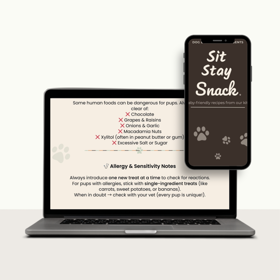 Sit. Stay. Snack. – Healthy Pet Snack Recipes (Digital E-Book)