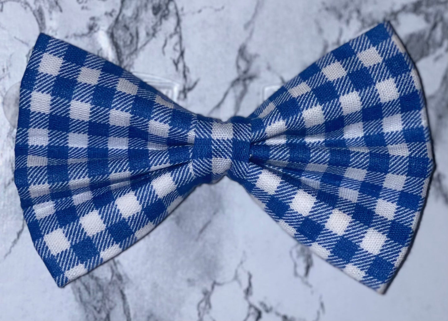 Blue & White Gingham