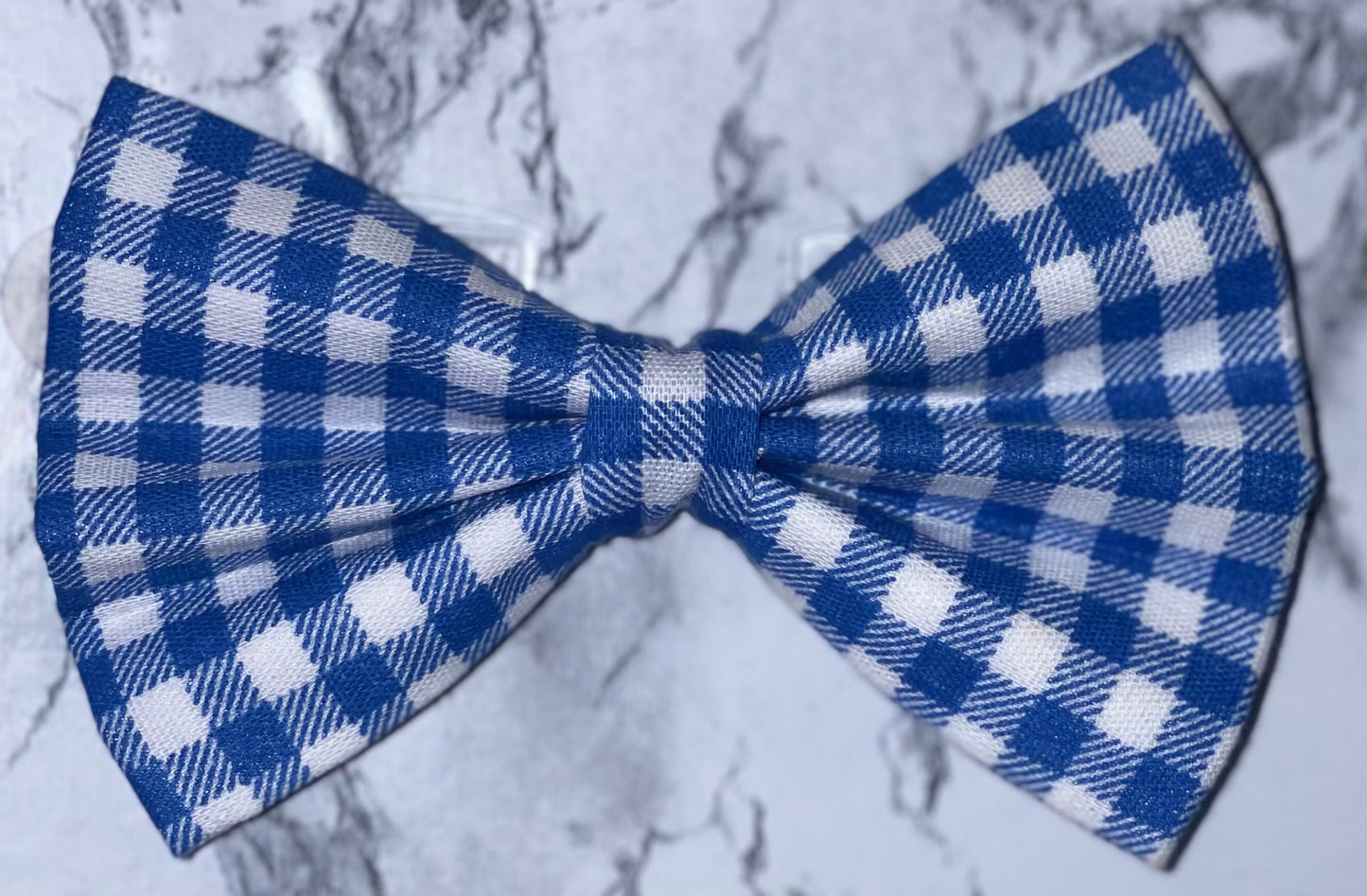 Blue & White Gingham